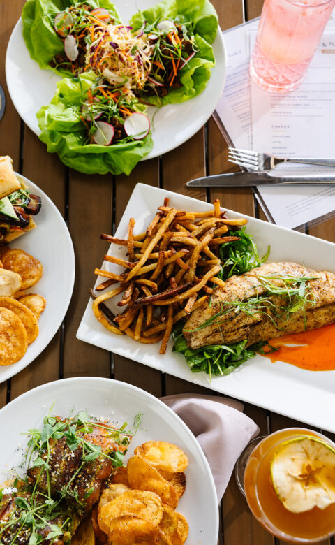 Variety of food served on plates